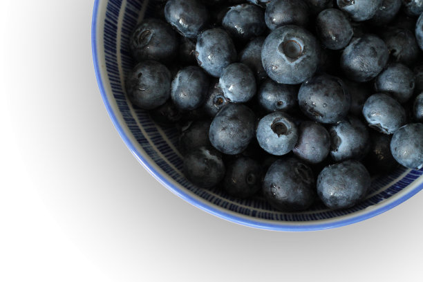 新鲜的蓝莓碗在白色背景的观点。图片下载