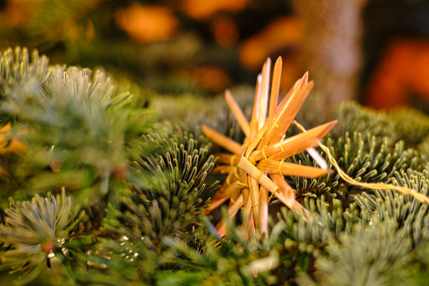 稻草星圣诞装饰图片下载