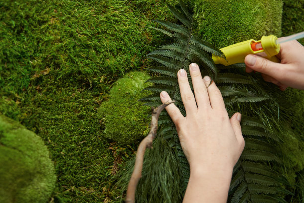 女性正在用绿色植物画画图片下载
