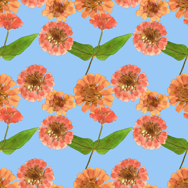 Zinnia。插图，花的纹理。连续复制的无缝模式。花卉背景，照片拼贴纺织品，棉织物。用于墙纸，封面图片下载