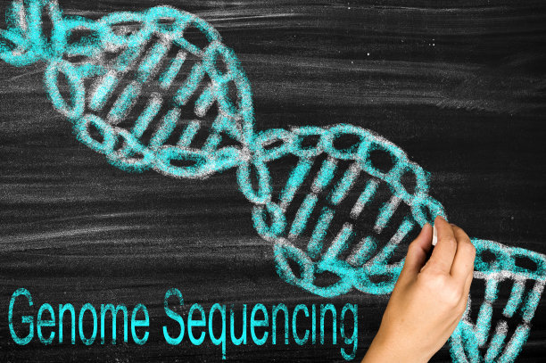 基因组测序图片下载