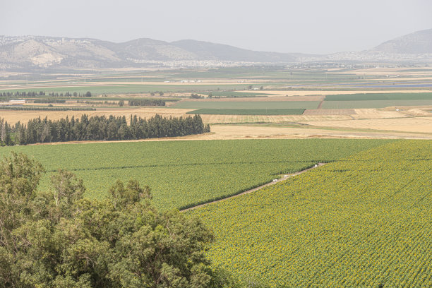 以色列灌溉土壤系统图片下载