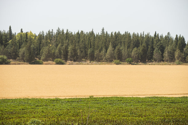 以色列灌溉土壤系统图片下载
