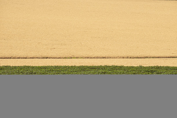 以色列灌溉土壤系统图片下载