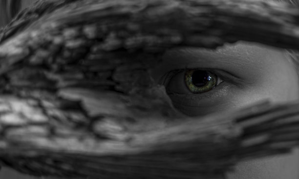 绿色的眼睛透过一个木头的形状图片下载