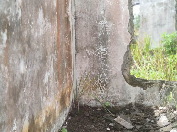 建筑垃圾图片下载