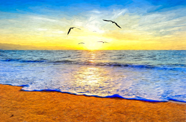 神圣的日落海鸟插图图片下载