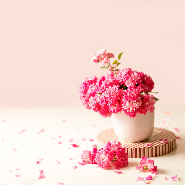 玫瑰和茶杯为早餐提供朴素的背景，文字拷贝空间，情人节，婚礼或周年纪念日早上装饰图片下载