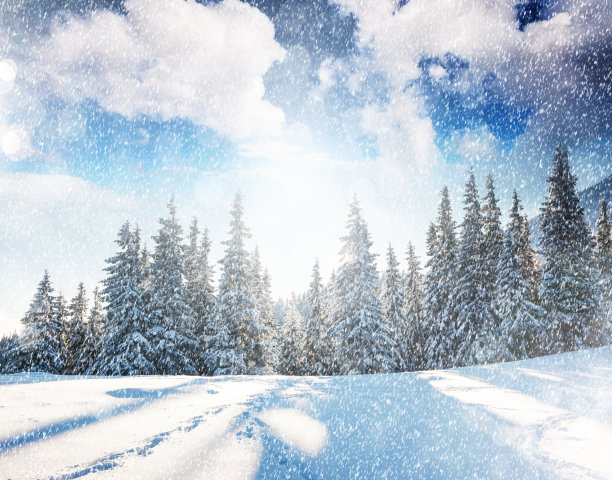 神奇的冬季景观图片下载