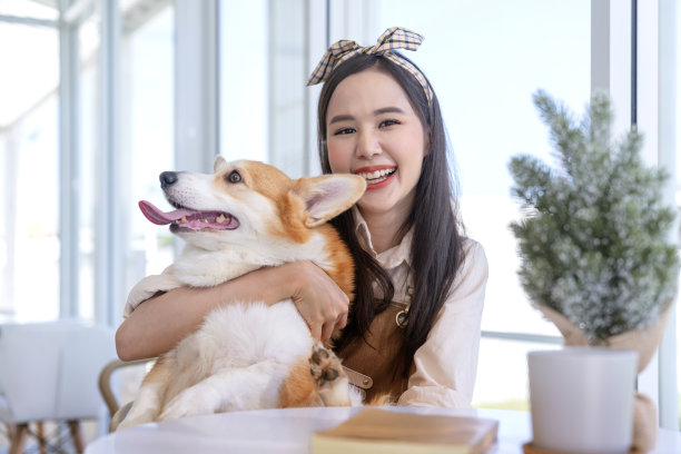 吸引人的亚洲年轻女子狗主人看着笔记本电脑视频呼叫微笑与柯基狗小狗小狗在狗咖啡馆与愉快和幸福快乐，动物爱好者的概念图片下载