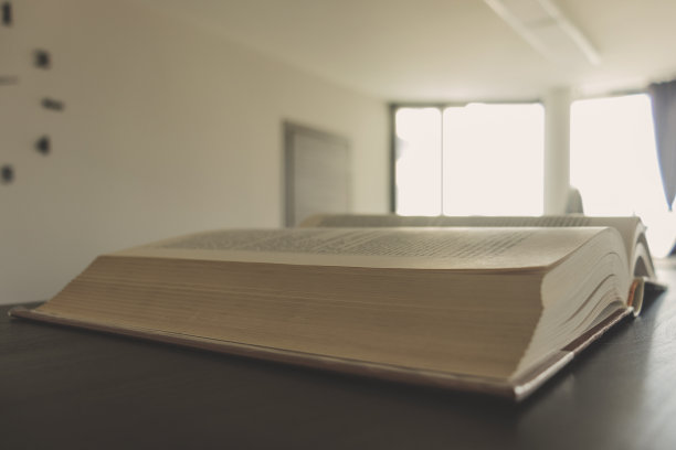 办公室书架上一本打开的书的特写。模糊背景，复制空间。概念学习，业务。图片下载