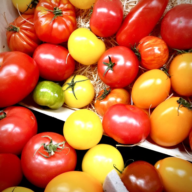 农贸市场的传家宝番茄图片下载