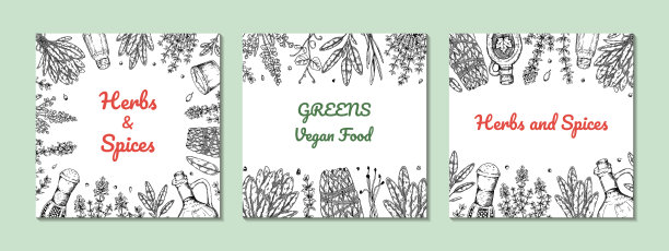 手绘草本和绿色设计。矢量图图片下载