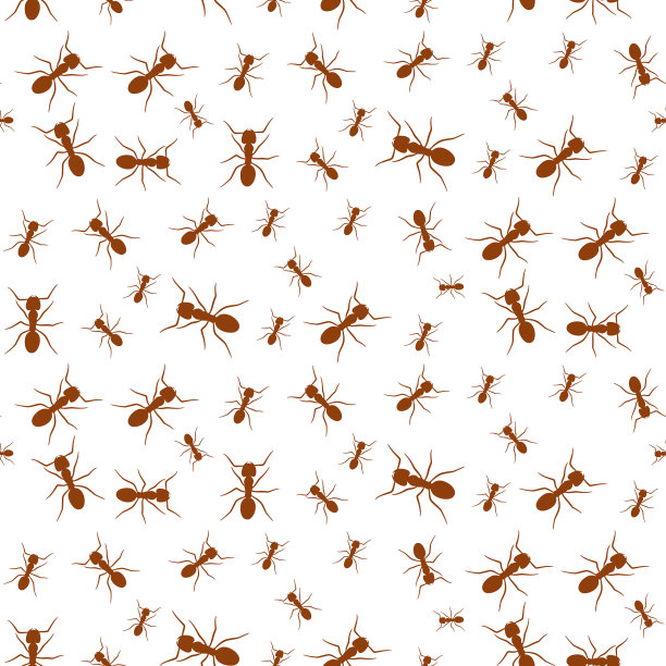 蚁矢量无缝图案背景图片下载