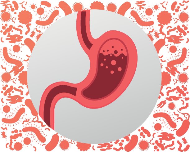 胃图标。人体器官的胃在白色的背景上有气泡。病毒和细菌保护胃。图片下载