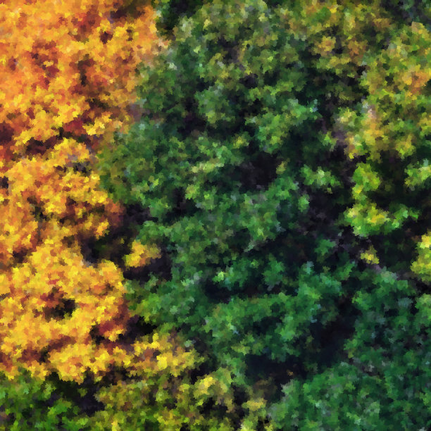 黄色的秋叶在树上的插图背景图片下载