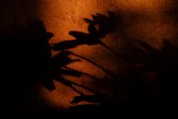 夕阳下桔黄色的灯光下，墙上的花影图片下载