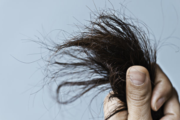 受损的头发图片下载