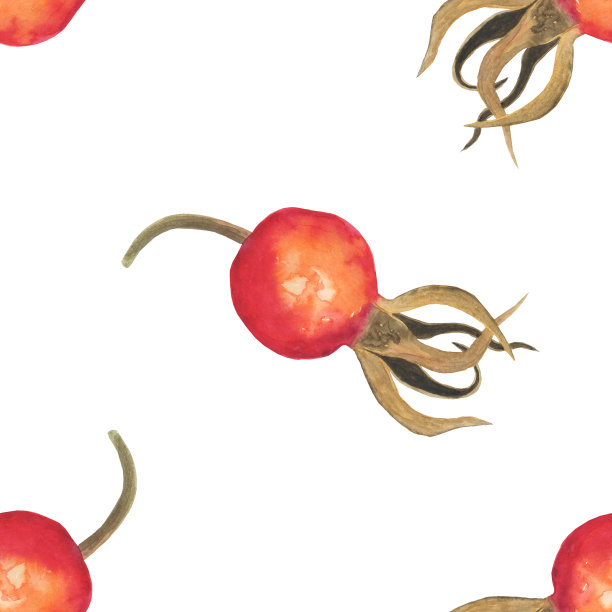 蔷薇浆果，无缝图案，孤立在白色背景上。水彩手绘插图。适合食品设计，纺织，包装。图片下载