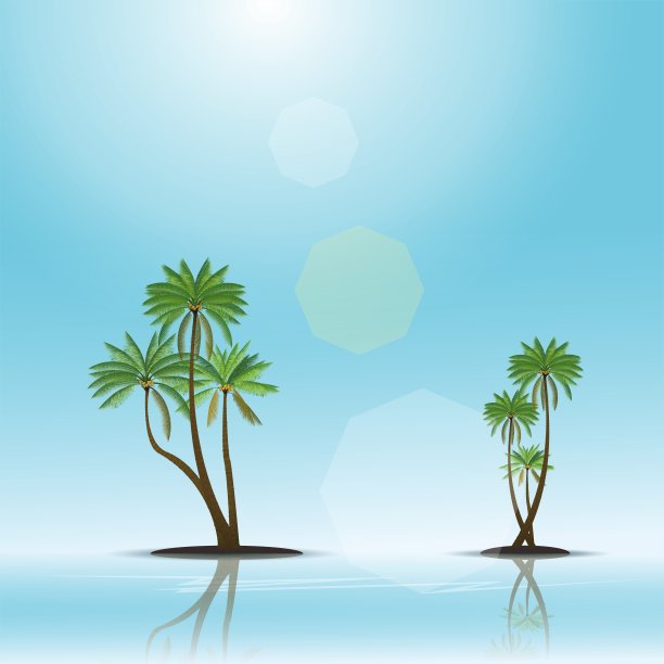 热带的背景图片下载