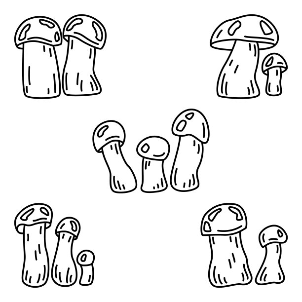 可食用的蘑菇森林。桔皮桦苞，桔顶苞，红顶鞘茎。一组矢量图标，轮廓，孤立图片下载