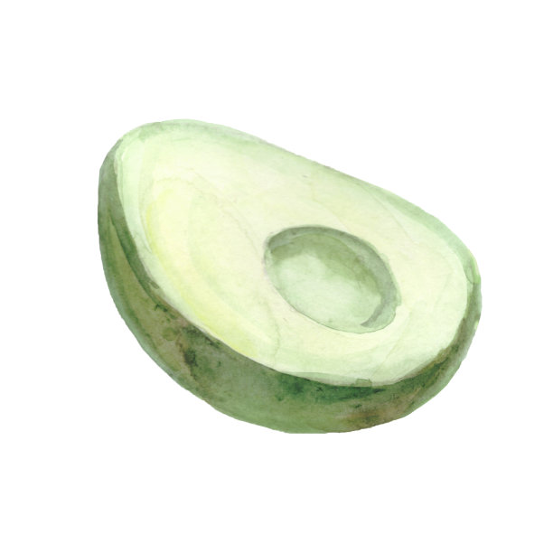 鳄梨水彩大集。高质量的照片。健康食品形象收集。图片下载