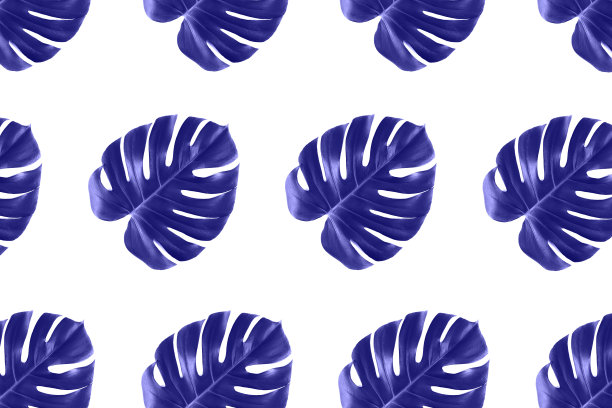 非常边缘丛林怪物叶子孤立的图案在白色背景上。图片下载