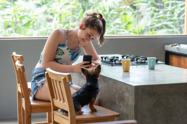 一只小狗的背部，看起来像宠物主人，正在用手机给它拍照图片下载