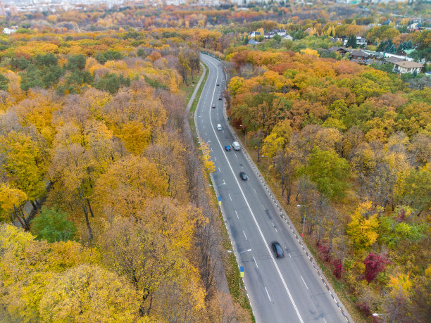 空中汽车行驶在黄色的秋天森林的道路上图片下载