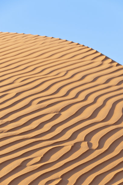 沙丘特写图片下载