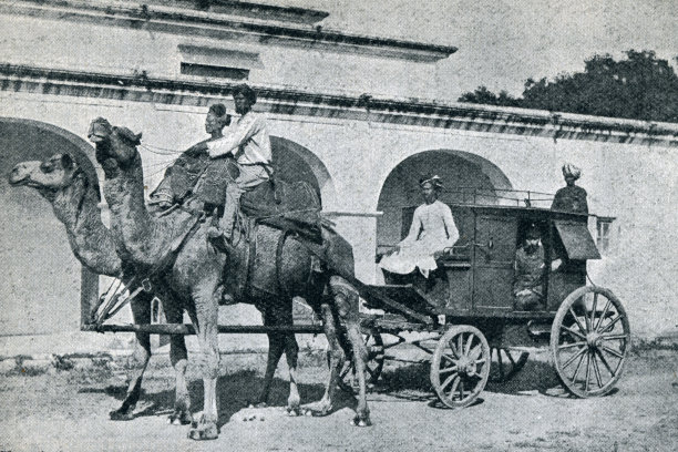 19世纪印度的骆驼马车图片下载