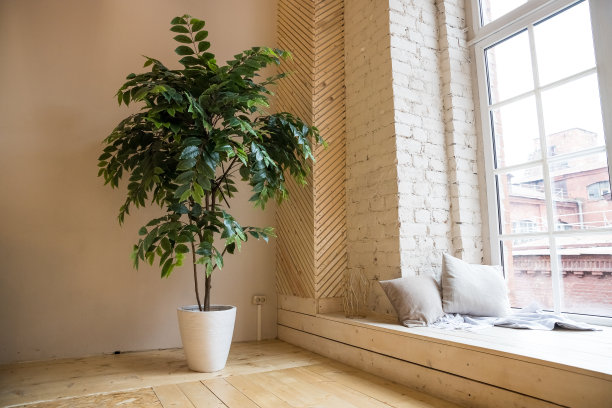 空的慢跑中心内部有大窗户和木地板，现代阁楼工作室的工作和运动训练，锻炼，盆栽植物。宽敞明亮的房间。工业阁楼公寓。时尚的休息室图片下载