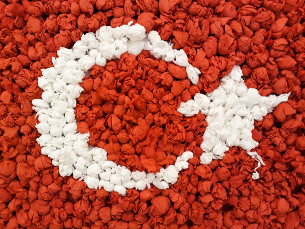 土耳其国旗上点缀着玫瑰图片下载