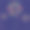 矢量烟花在蓝色的背景。图片下载