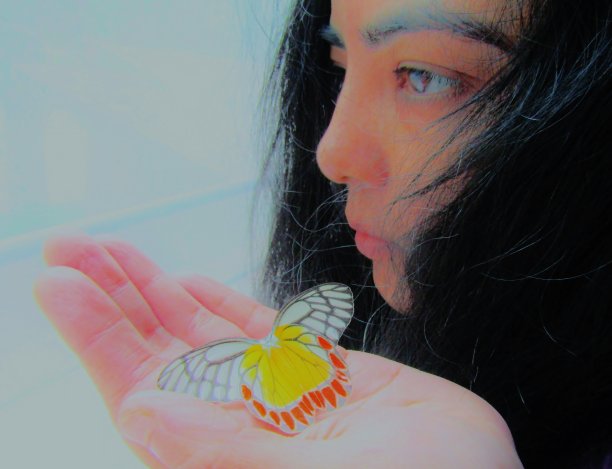 色彩斑斓的美丽图片下载