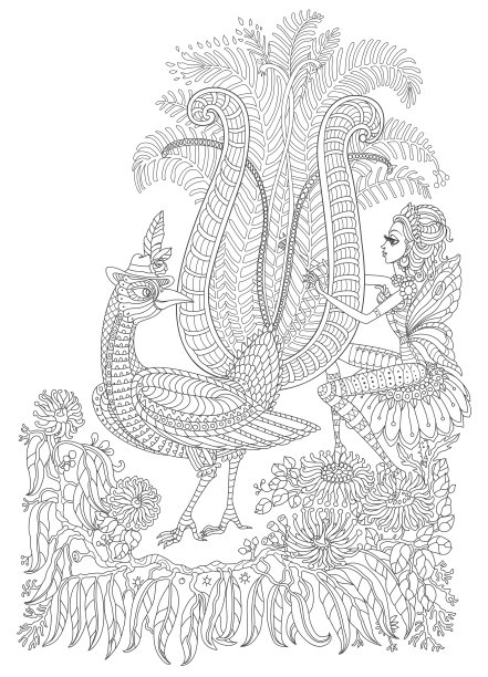 矢量幻想风格化的丛林琴鸟剪影，精灵女孩，桉树叶。t恤打印。成人涂色书页图片下载