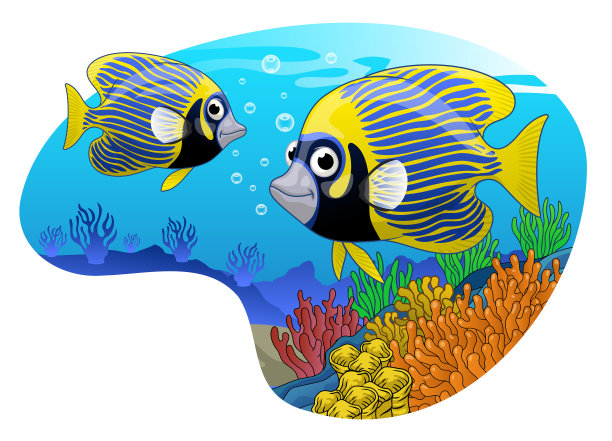 帝王角鱼生活在珊瑚礁图片下载