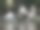 白鹈鹕站在池塘阴凉的岸边图片下载