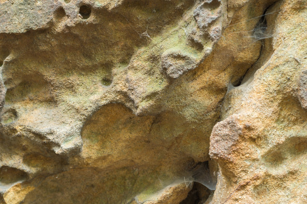 波兰波德卡尔帕基省Przadki自然保护区砂岩风化形式图片下载