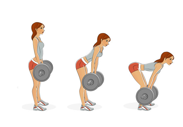 小女孩用杠铃训练。臀部肌肉和腿部肌肉的锻炼。插图孤立在白色背景上。图片下载