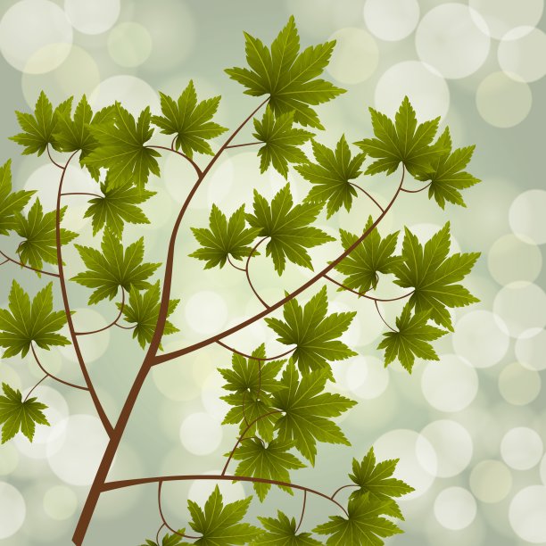 枝叶和散景灯光背景图片下载