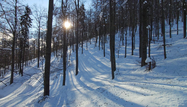 冬天的童话图片下载