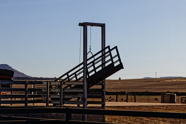 供绵羊用的动物装载槽图片下载