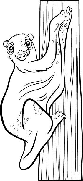 卡通飞行狐猴或鼯猴动物性格涂色书页图片下载