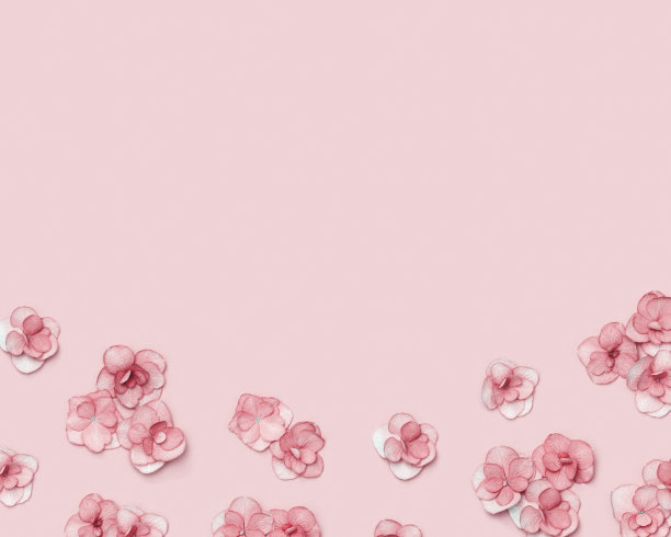 天然绣球花粉红色花，最小的花框架，单色颜色。布置鲜花。春节概念，母亲节，3月8日，情人节。平躺，上面的观点图片下载