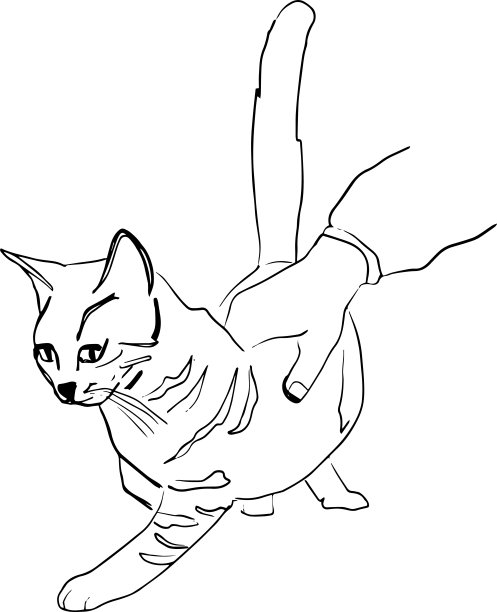 用手抚摸一只猫，涂鸦的风格图片下载