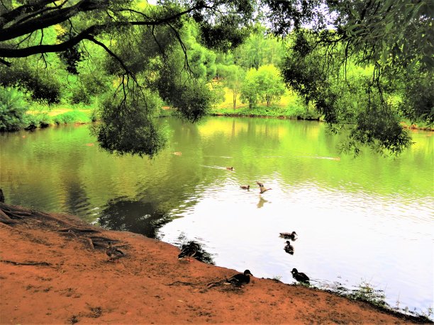 夏天的公园。图片下载