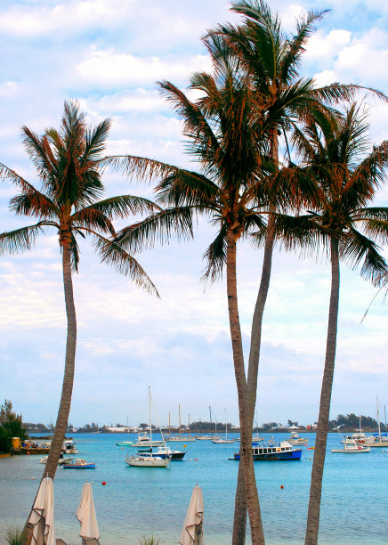 百慕大图片下载