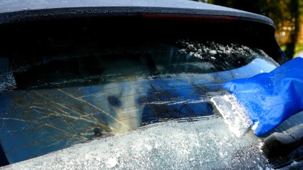 汽车司机冬天的快乐图片下载