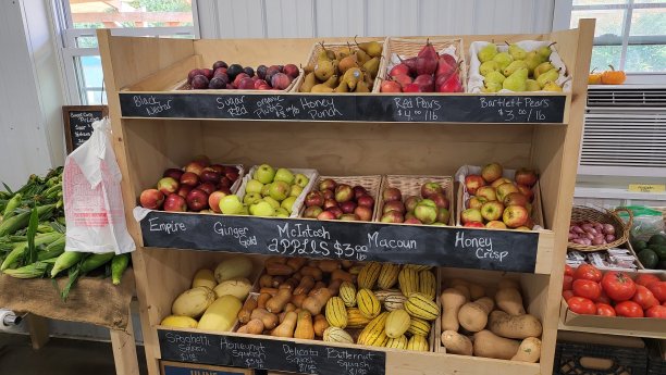 新鲜采摘图片下载